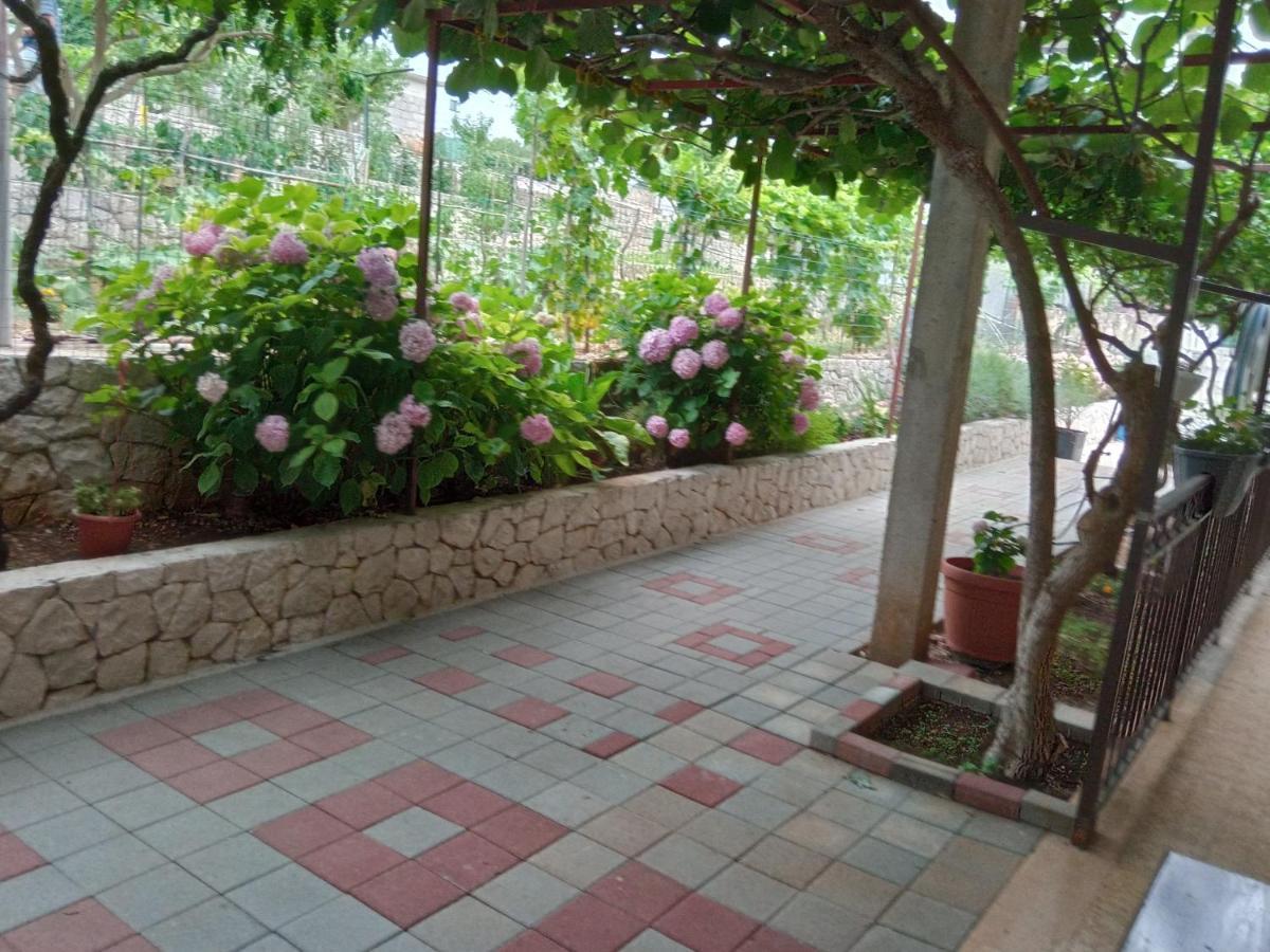 Apartment Tea-1 Donji Okrug  المظهر الخارجي الصورة